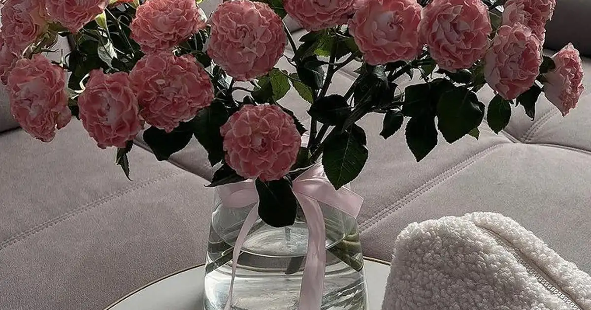 نکاتی برای مراقبت از گل ها در منزل