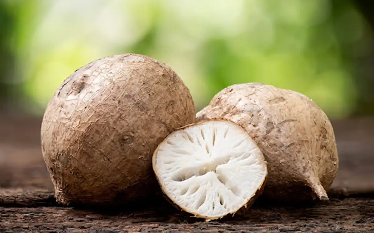 گیاه پیوراریا